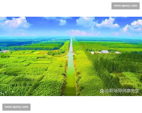 以林高为核心探索新时代绿色科技与可持续发展路径